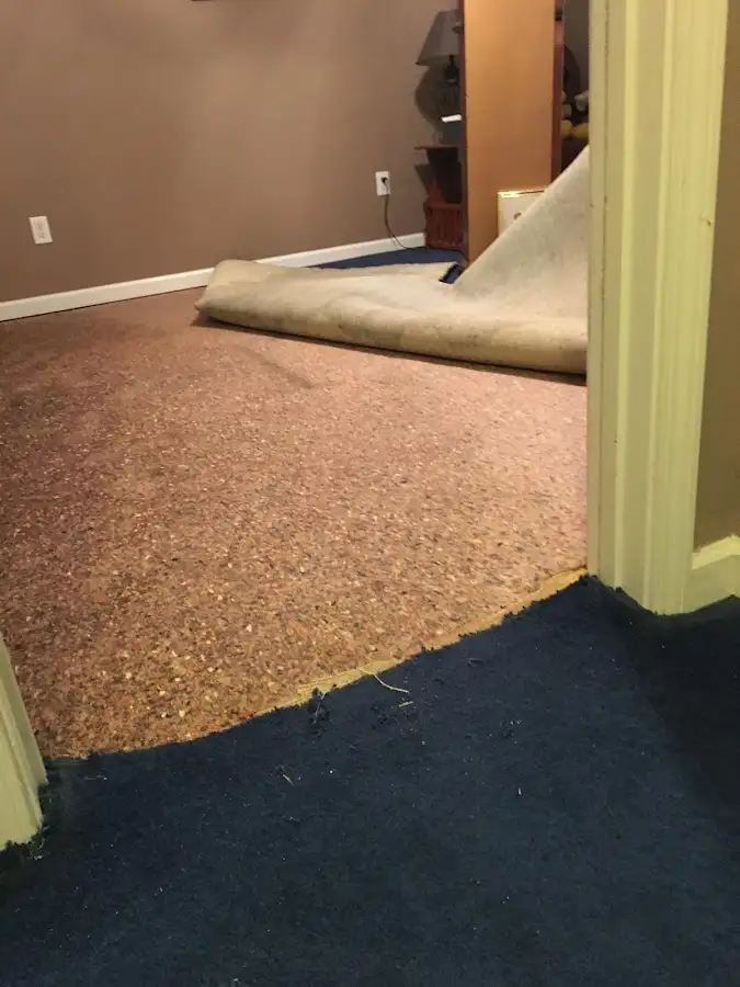 Carpet pad removal revealing water damage during Drying & Dehumidification in Roma