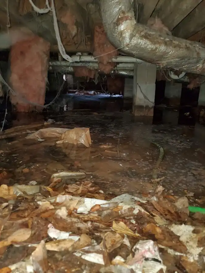 Crawl space flood assessment for Leak Detection & Repair in Roma